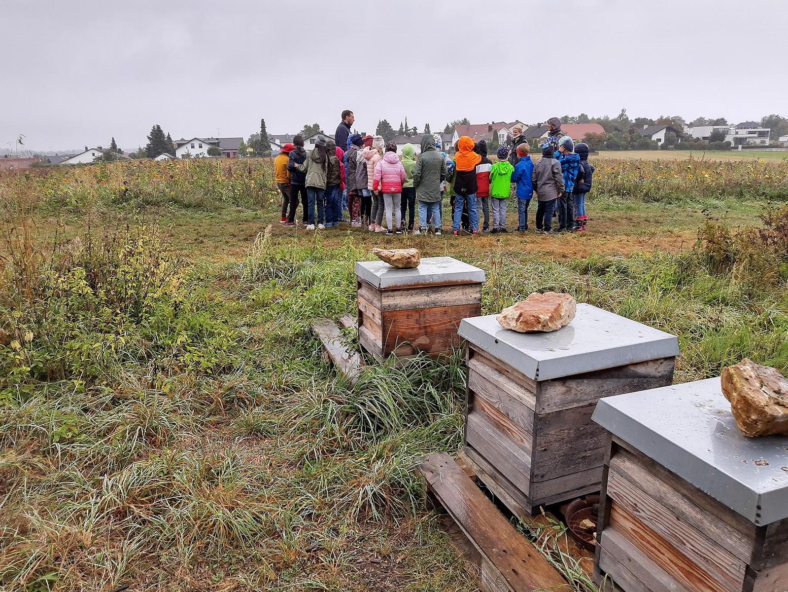 Besuch der Bienenweide