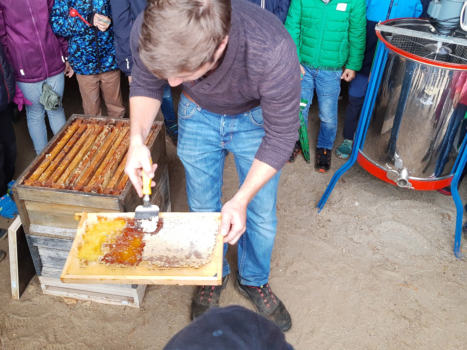 Besuch der Bienenweide