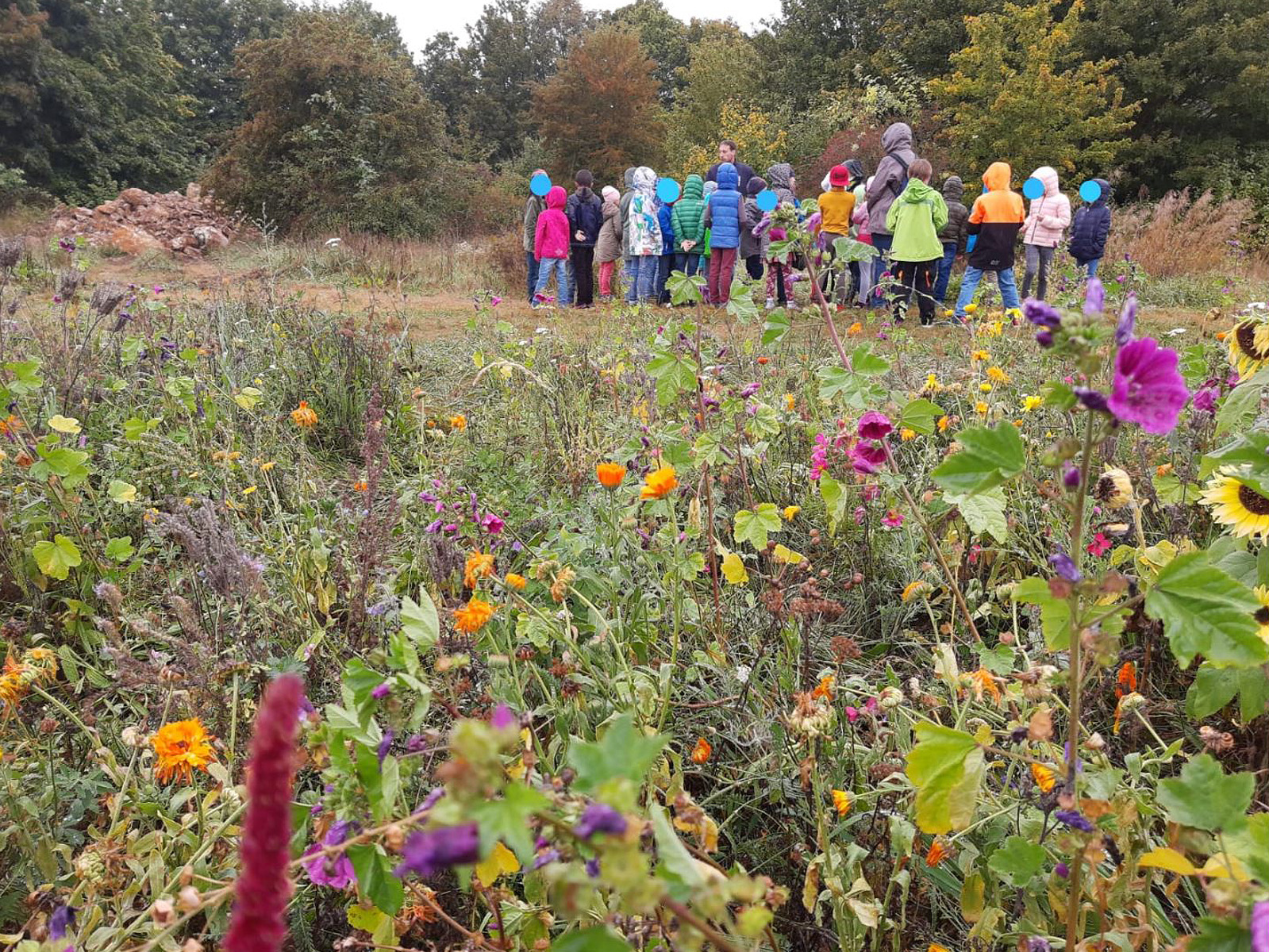 Besuch der Bienenweide